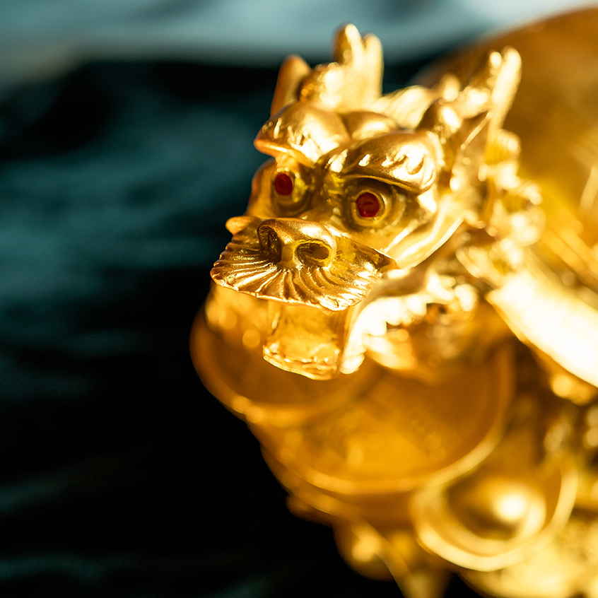 金龙龟（大）